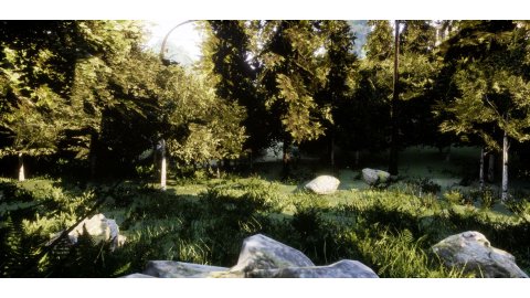 VR Roller Coaster